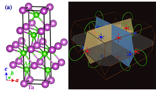 TaAs晶体结构和Weyl费米子在动量空间的分布