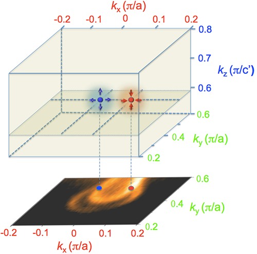 首次发现Weyl外尔费米子